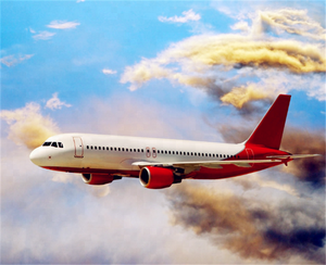 Spedizione Economica dalla Cina a USA, Messico, Canada, Porta a Porta, FBA LCL+Express con Trasporto Marittimo, Supporto 24/7 e Assicurazione - Product Image 2