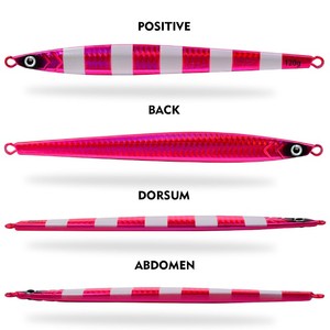 NEWMAJOR 80g 100g 120g <span class=keywords><strong>di</strong></span> Jig in metallo per pesca a lunga distanza in mare, gettando in condizioni <span class=keywords><strong>di</strong></span> stampa con esca falsa - Product Image 4