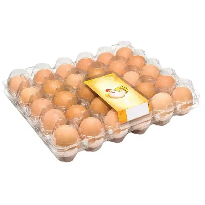 Best Selling 30 Holes Plastic Eggs Tray PET Egg Tray for Supermarket