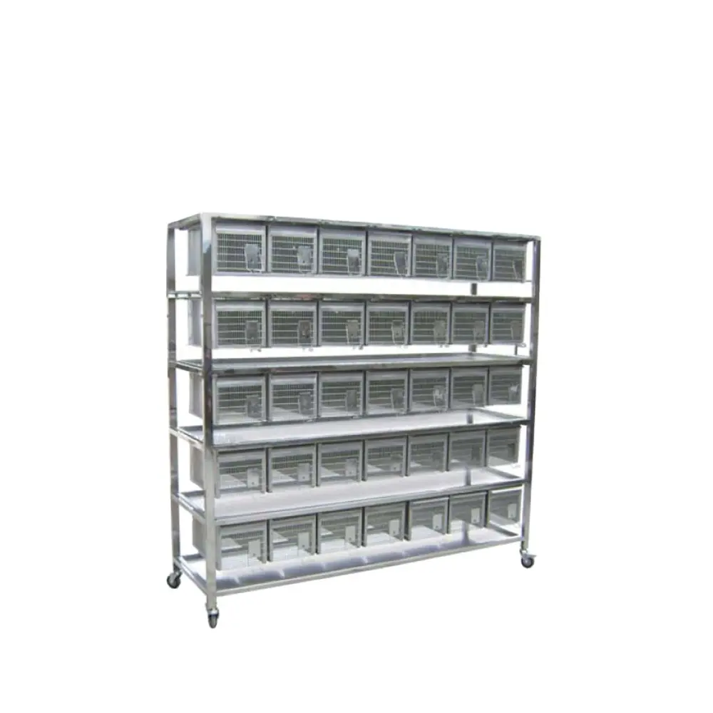 Stainless steel dry-feeding rats experimental cage
