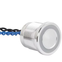 Interrupteur tactile piézoélectrique en aluminium anodisé argenté ELEWIND, protection IP68, LED intelligente 1NO (PS193P10YNT1R24L CE ROHS)