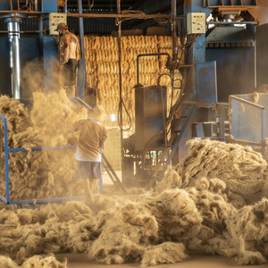 Cleaned Coconut Coir Fiber for <b>Cushion</b> Stuffing, Eco Packaging, Mats and Garden Applications From Vietnam - Product Image 1