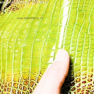 ผลิตภัณฑ์หนังจระเข้อเนกประสงค์ - Product Image 5