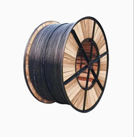 Cable Eléctrico de Cobre Aislado con XLPE/PVC de Bajo Voltaje 0.6/1kV para Uso en Construcción