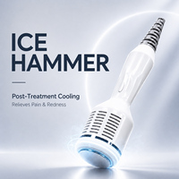 Appareil d'épilation permanente par électrolyse Ice Hammer 2 en 1, technologie pour usage en salon