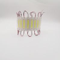Module LED COB 24V blanc chaud 2W 3000K 7019 12V en PVC injecté IP65 avec lentille transparente pour rétroéclairage intérieur - Fournisseur chinois