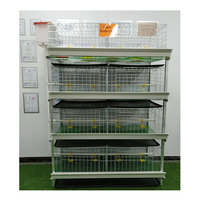 Cage à poulets de chair multi-niveaux de type H avec système automatique et convoyeur pour usage domestique, vente au détail, usine de fabrication et ferme