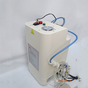 Automatic Steam Cleaner For Dental Prostheses Electric With Pressure <b>Gauge</b> And Hose W313.003 Class II Ce Certified - Product Image 1