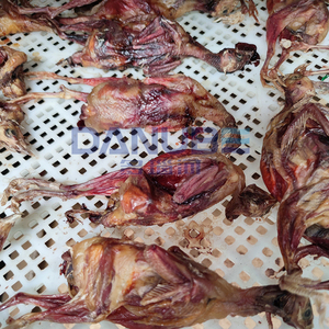 Multi-function Fruit Dehydrated Machine Beef Jerky Dryer Machine Meat Dryer Sausage Drying Equipment - Product Image 5