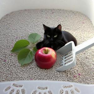 Boule ronde à haute absorption d'eau, sable de litière pour chat, bentonite, vente en gros de sable pour chat, écologique et naturel à faible teneur en poussière, usine OEM - Product Image 2