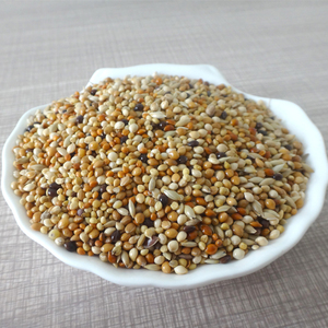 Mélange de 5 filets pour aliments bouddhistes, aliments en vrac, petit Parot, 1kg - Product Image 2