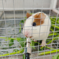 Abreuvoir à mamelons pour lapins en acier inoxydable YYC, abreuvoir à eau pour lapins, pour rongeurs, rats, hamsters