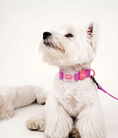 Collier pour chien et chat de luxe, mignon, personnalisé avec logo, en PVC souple, effet cuir, imperméable, réglable avec boucle