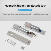 Serrure électrique 2 fils/5 fils Sortie magnétique avec temporisation DC 12V Fail Safe Bolt Mortaise Serrure de porte NC/NO Serrure de porte électronique
