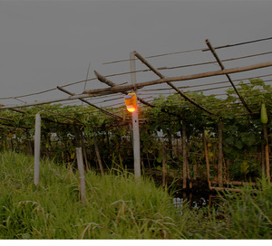 Сигнализация светодиодная с датчиком движения - Product Image 6