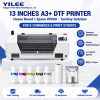 Printer DTF A3+ YILEE Otomatis dengan Pengeringan Tinta Putih & Pemanasan Pasca-Cetak |   Konstruksi Profesional dari Baja Tahan Karat