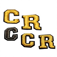 Badge brodé personnalisé haut de gamme fait main en soie indienne, avec lettres anglaises en tissu perlé 3D, style à coudre pour chapeaux et vêtements