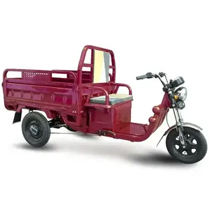 high quality electric tricycle 800W 1000w 48v 60v tricycles with best price High Quality