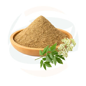 Çin Bitki Ürünleri Yüksek Kaliteli Bitki <span class=keywords><strong>Ligusticum</strong></span> <span class=keywords><strong>Wallichii</strong></span> Ekstrakt Tozu Rhizoma Chuanxiong Ekstrakt 4:1 10:1 TLC Tozu - Product Image 1