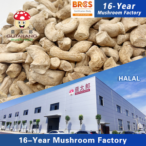 Tiges de <span class=keywords><strong>champignon</strong></span> Shiitake séchées de haute qualité approuvées par BRC - Product Image 2