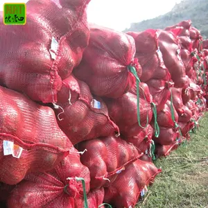 Venda quente de cebola amarela/vermelha de 5-8 cm para exportação cebola fresca de alta qualidade com GLOBAL GAP, HACCP e ISO9001