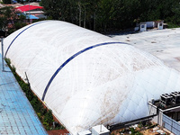 Tente de dôme de sport de luxe gonflable à air personnalisée, énorme tissu PVC polyvalent pour l'extérieur, pour le tennis, le basket-ball, le football et le golf.
