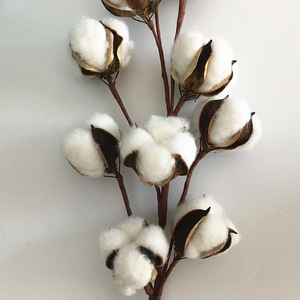 K-1040 Fiori di Cotone Artificiali Essiccati di Varie Dimensioni per Decorazione Casa, Vendita Calda - Product Image 2