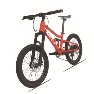 Vélo de montagne pour enfants Hulda 20 pouces en alliage d'aluminium, suspension intégrale, 10 vitesses, vélo de cross-country - Product Image 2