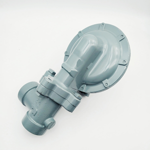 Regulador De Pressão De Segurança HP888 Regulador De Gás De Tubo De Garantia De Alta Qualidade - Product Image 1