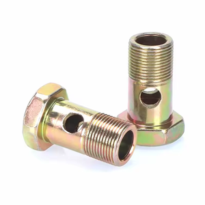 Pernos de manguera banjo galvanizados de alta calidad pernos de banjo automotrices huecos M6 M8 M10 M12 tornillos huecos hexagonales <span class=keywords><strong>2</strong></span> agujeros - Product Image 4