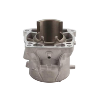 Vente en gros d'usine, cylindre standard OEM plaqué Nikasil pour KTM 300 EXC XC-W TBI 2024-2026, pièces de bloc moteur de moto tout-terrain
