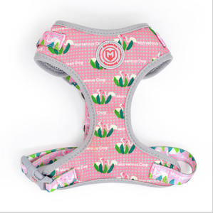 Hellomoonプロデュースプレミアム卸売カスタマイズカラフルな熱伝達プリントベストペット犬ハーネス - Product Image 6