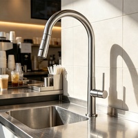 Robinet de cuisine commercial en acier inoxydable robuste à montage sur plan, eau froide, rotation à 360°, flexible et extractible