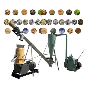 1t mỗi giờ PELLET Mill Máy Phân bón hữu cơ gỗ sinh khối gỗ PELLET Máy làm