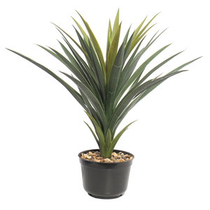 Planta barata para centro comercial, venta directa de fábrica, supermercado, sisal de imitación, cáñamo, plantas de <span class=keywords><strong>agave</strong></span> artificiales, 2021 - Product Image 1