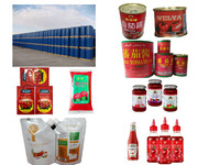Nouvelle ligne de production de purée de tomate industrielle complète et automatique, emballage aseptique, Brix 28-30/36-38, 1-50T/H