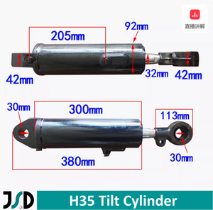 Cilindro hidráulico de inclinación para carretilla elevadora, Gama Completa, entrega rápida personalizada - Product Image 5