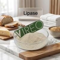 Poudre d'enzyme lipase industrielle de haute qualité, approvisionnement en vrac pour la fabrication du papier et le traitement textile