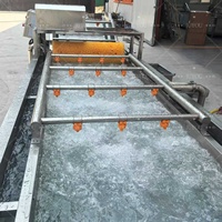 Voedselverwerkingsbedrijf 304 roestvrijstalen bubbelwasmachine reiniging voor fruit, groenten en verpakte voedselverwerking