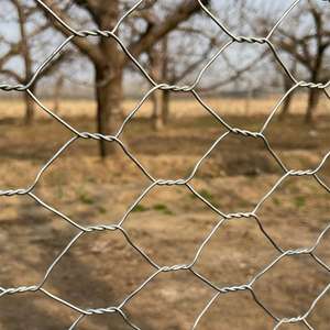 Type tissé anticorrosif de bonne qualité taille de maille 0.5*10m/1*20m/3*30m galvanoplastie galvanisation treillis métallique de poulet hexagonal - Product Image 2