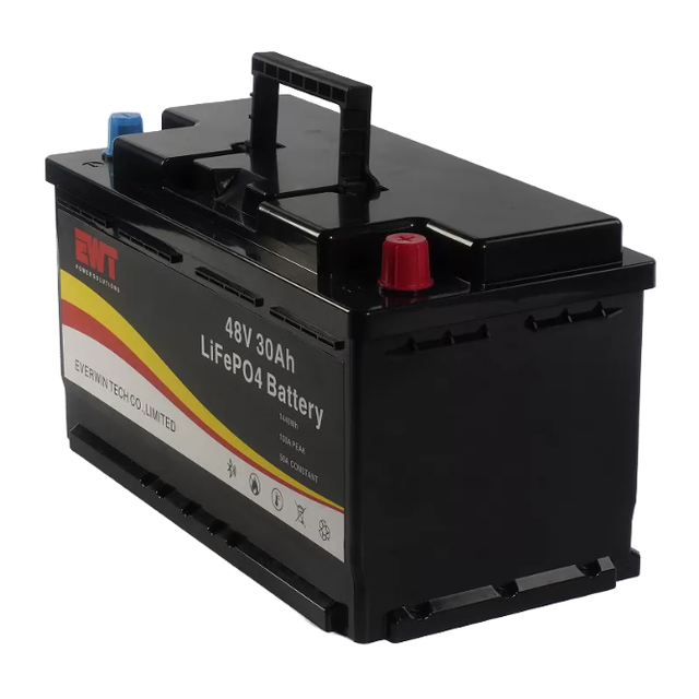 High Power Rechargeable Li Ion Lifepo4 Battery Pack for Electric Vehicles Premium Electric Vehicle LiIon Battery