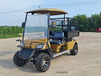 Voitures de golf électriques 2 places, buggy 4x4, batterie lithium 48V/72V, voiture de patrouille électrique, éclairage de golf