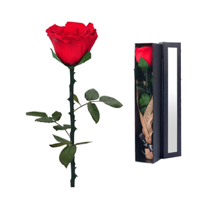 Rose préservée écologique faite à la main cadeaux de la Saint-Valentin rose rouge unique pour toujours pour les femmes maman grand-mère-cadeau de livraison Prime - Product Image 1