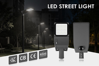 Garantie 5 ans Conception à boucle en aluminium moulé sous pression 30W 50W 100W 120W 150W 200W Éclairage public étanche Lampadaire LED