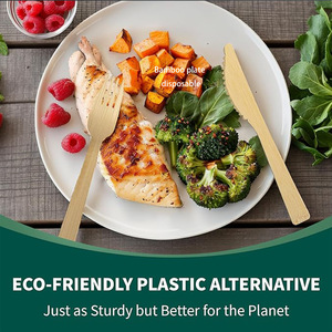 Bamboo Disposable Cutlery Set Knives Forks Spoons Biodegradable Natural For Party Camping - Product Image 2