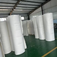 Feutre de laine épais personnalisé 3mm/5mm/8mm/10mm/20mm/30mm/40mm produit matériel multifonctionnel