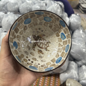 Bol en coquille de noix de coco fait à la main écologique avec laque brillante | Bol de cuisine réutilisable biodégradable - Product Image 5