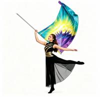 Drapeau de protection personnalisable aux couleurs vives 36"x54" rectangulaire incurvé pour studio de danse, camp d'été artistique, entraînement