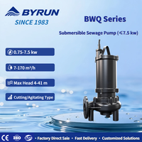 Pompe submersible BYRUN à corps vertical en fonte pour eaux usées, traitement des eaux, 220V/380V, CE
