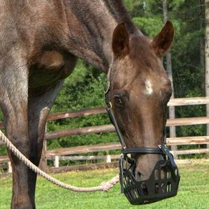 Bozal Seguro para Caballos con Hebilla de Liberación Rápida para un Fácil Manejo y Mayor Seguridad - Product Image 4